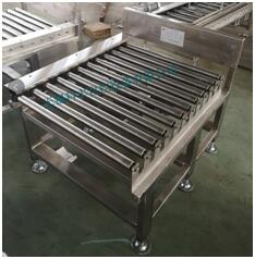 Standby Conveyor (Bag Conveyor) Standby Conveyor (Bag Conveyor)
